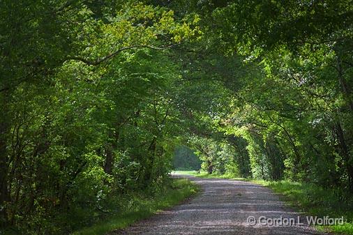 Louisiana Backroad_46154.jpg - Photographed near Breaux Bridge, Louisiana, USA.